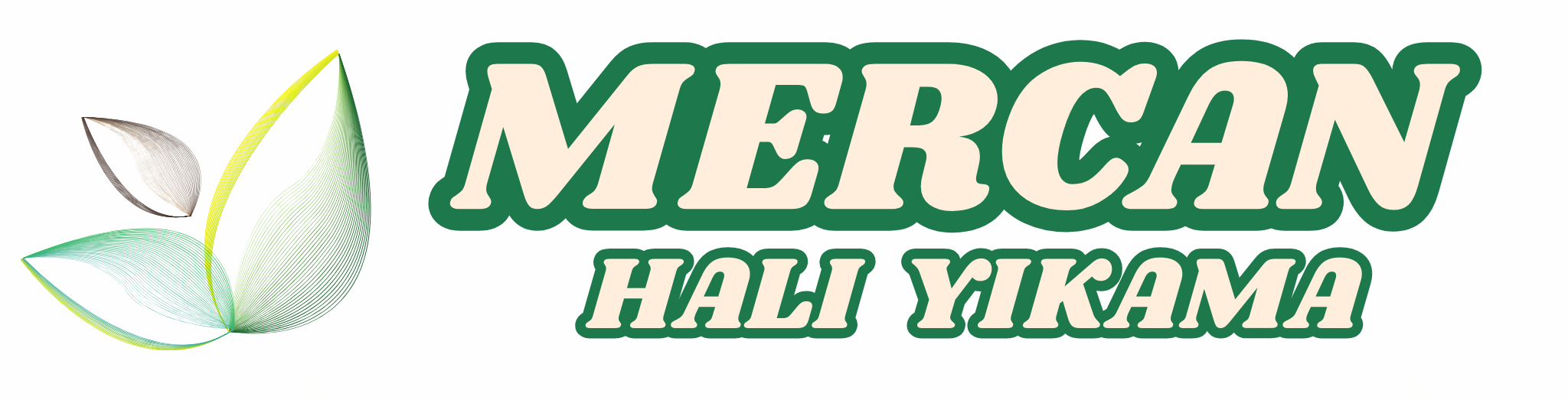 Mercan Halı Yıkama